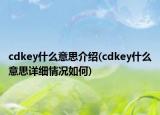 cdkey什么意思介紹(cdkey什么意思詳細情況如何)