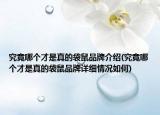 究竟哪個才是真的袋鼠品牌介紹(究竟哪個才是真的袋鼠品牌詳細情況如何)