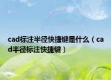 cad標(biāo)注半徑快捷鍵是什么（cad半徑標(biāo)注快捷鍵）