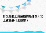 什么是北上資金指的是什么（北上資金是什么意思）