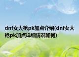 dnf女大槍pk加點介紹(dnf女大槍pk加點詳細(xì)情況如何)