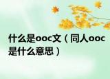 什么是ooc文（同人ooc是什么意思）