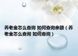 養(yǎng)老金怎么查詢 如何查詢余額（養(yǎng)老金怎么查詢 如何查詢）