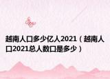 越南人口多少億人2021（越南人口2021總?cè)藬?shù)口是多少）