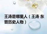 王濤是哪里人（王濤 東晉歷史人物）