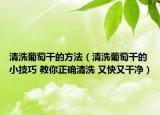 清洗葡萄干的方法（清洗葡萄干的小技巧 教你正確清洗 又快又干凈）