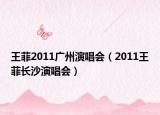 王菲2011廣州演唱會（2011王菲長沙演唱會）
