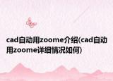 cad自動(dòng)用zoome介紹(cad自動(dòng)用zoome詳細(xì)情況如何)