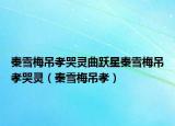 秦雪梅吊孝哭靈曲躍星秦雪梅吊孝哭靈（秦雪梅吊孝）