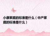 小康家庭的標(biāo)準(zhǔn)是什么（中產(chǎn)家庭的標(biāo)準(zhǔn)是什么）