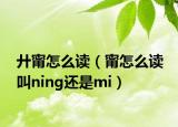 廾甯怎么讀（甯怎么讀 叫ning還是mi）
