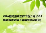 GBA格式游戲怎樣下載介紹(GBA格式游戲怎樣下載詳細(xì)情況如何)