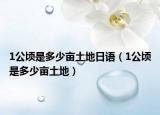 1公頃是多少畝土地日語（1公頃是多少畝土地）