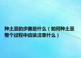種土豆的步驟是什么（如何種土豆 整個過程中應該注意什么）