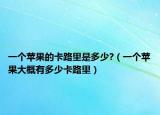一個蘋果的卡路里是多少?（一個蘋果大概有多少卡路里）