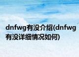 dnfwg有沒介紹(dnfwg有沒詳細情況如何)