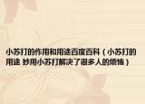 小蘇打的作用和用途百度百科（小蘇打的用途 妙用小蘇打解決了很多人的煩惱）