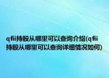 qfii持股從哪里可以查詢介紹(qfii持股從哪里可以查詢詳細情況如何)