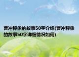 曹沖稱象的故事50字介紹(曹沖稱象的故事50字詳細(xì)情況如何)