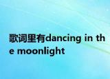 歌詞里有dancing in the moonlight