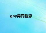 gay男同性戀