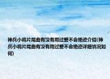 神兵小將片尾曲有沒有用過愛不會絕跡介紹(神兵小將片尾曲有沒有用過愛不會絕跡詳細情況如何)