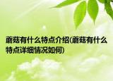 蘑菇有什么特點(diǎn)介紹(蘑菇有什么特點(diǎn)詳細(xì)情況如何)
