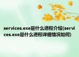 services.exe是什么進(jìn)程介紹(services.exe是什么進(jìn)程詳細(xì)情況如何)