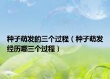 種子萌發(fā)的三個過程（種子萌發(fā)經(jīng)歷哪三個過程）
