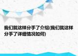 我們就這樣分手了介紹(我們就這樣分手了詳細(xì)情況如何)