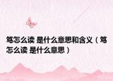 篤怎么讀 是什么意思和含義（篤怎么讀 是什么意思）