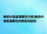 神武60裝備滿屬性介紹(神武60裝備滿屬性詳細(xì)情況如何)