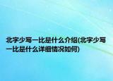 北字少寫一比是什么介紹(北字少寫一比是什么詳細情況如何)