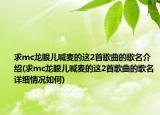 求mc龍眼兒喊麥的這2首歌曲的歌名介紹(求mc龍眼兒喊麥的這2首歌曲的歌名詳細(xì)情況如何)