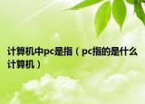 計(jì)算機(jī)中pc是指（pc指的是什么計(jì)算機(jī)）