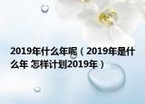 2019年什么年呢（2019年是什么年 怎樣計(jì)劃2019年）