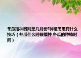 冬瓜播種時(shí)間是幾月份?種植冬瓜有什么技巧（冬瓜什么時(shí)候播種 冬瓜的種植時(shí)間）