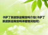 卡薩丁新皮膚是限定嗎介紹(卡薩丁新皮膚是限定嗎詳細(xì)情況如何)