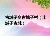 古城子鄉(xiāng)古城子村（土城子古城）