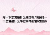 問一下戀愛是什么感覺啊介紹(問一下戀愛是什么感覺啊詳細(xì)情況如何)
