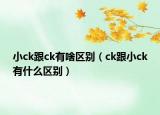 小ck跟ck有啥區(qū)別（ck跟小ck有什么區(qū)別）