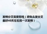 發(fā)梢分叉需要剪嗎（避免頭發(fā)分叉 最好40天左右剪一次發(fā)梢）