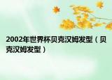 2002年世界杯貝克漢姆發(fā)型（貝克漢姆發(fā)型）