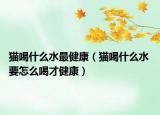 貓喝什么水最健康（貓喝什么水 要怎么喝才健康）