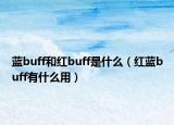 藍buff和紅buff是什么（紅藍buff有什么用）