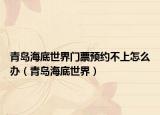 青島海底世界門票預(yù)約不上怎么辦（青島海底世界）