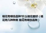 桂花有哪些品種?什么桂花最好（桂花有幾種種類 桂花有哪些品種）