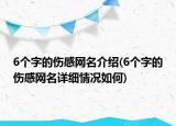 6個字的傷感網(wǎng)名介紹(6個字的傷感網(wǎng)名詳細情況如何)