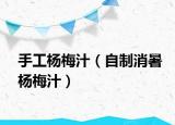 手工楊梅汁（自制消暑楊梅汁）