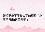 張柏芝小王子長大了的照片（小王子 張柏芝的兒子）